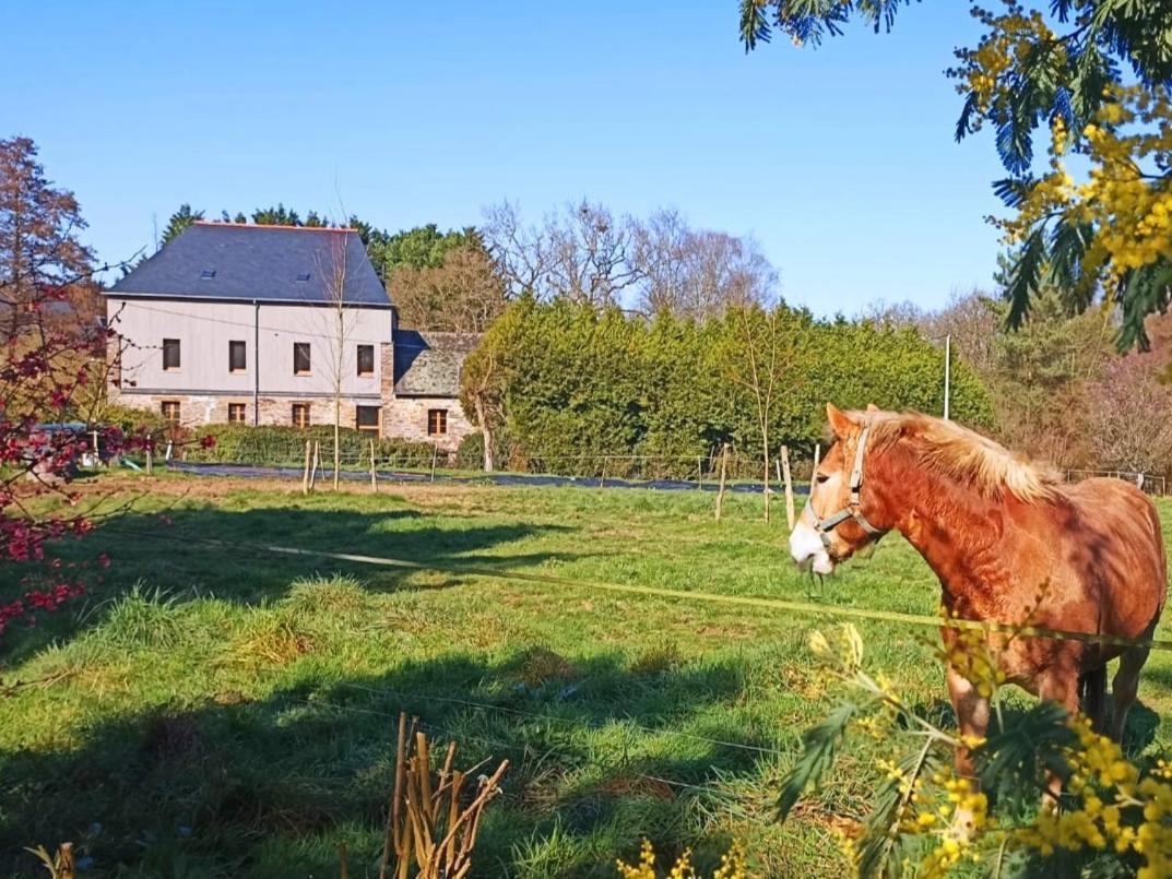 Chambre D'Hote En Gite - Moulin De La Houssaie - Broceliande Guer Buitenkant foto