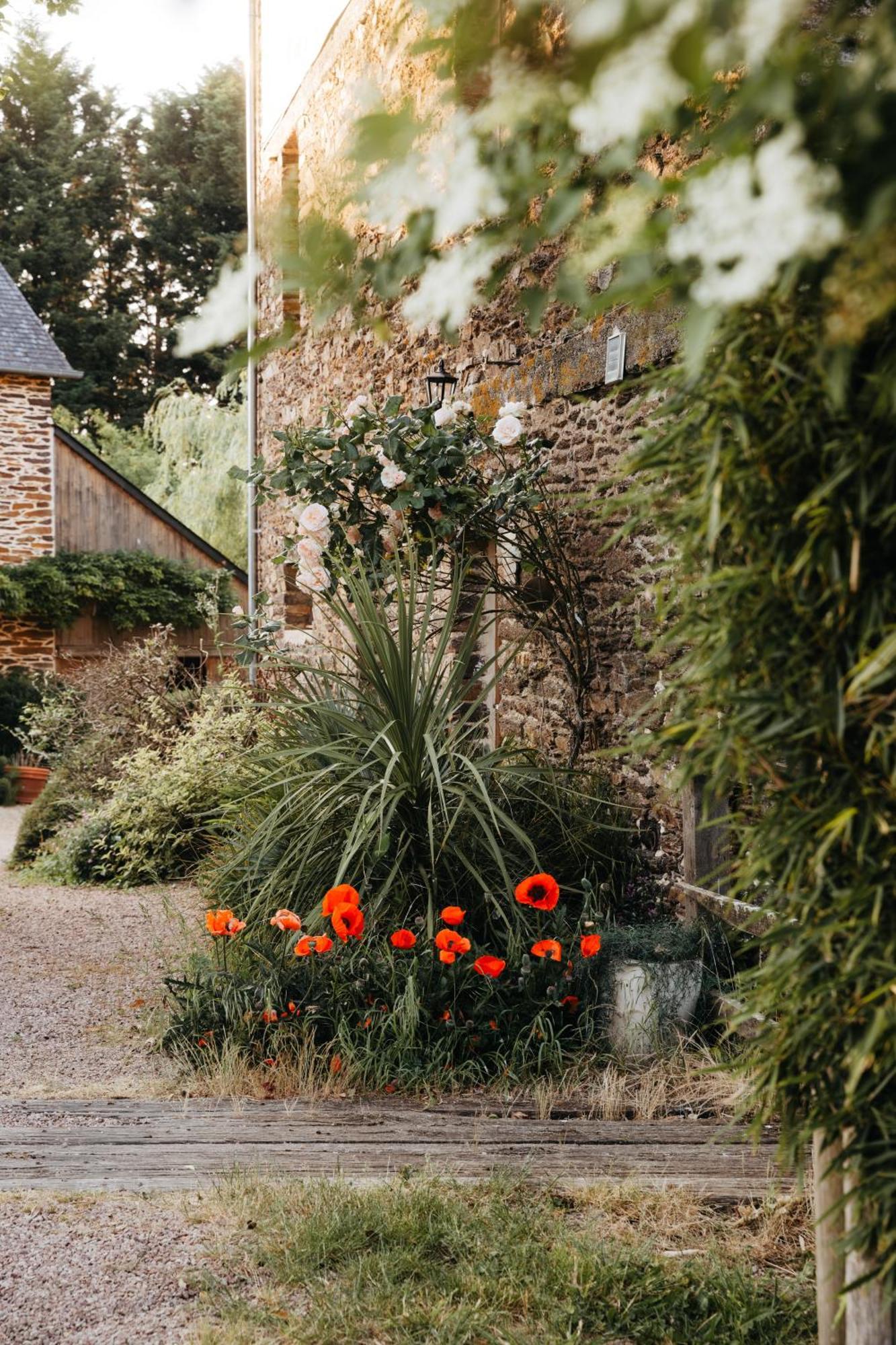 Chambre D'Hote En Gite - Moulin De La Houssaie - Broceliande Guer Buitenkant foto
