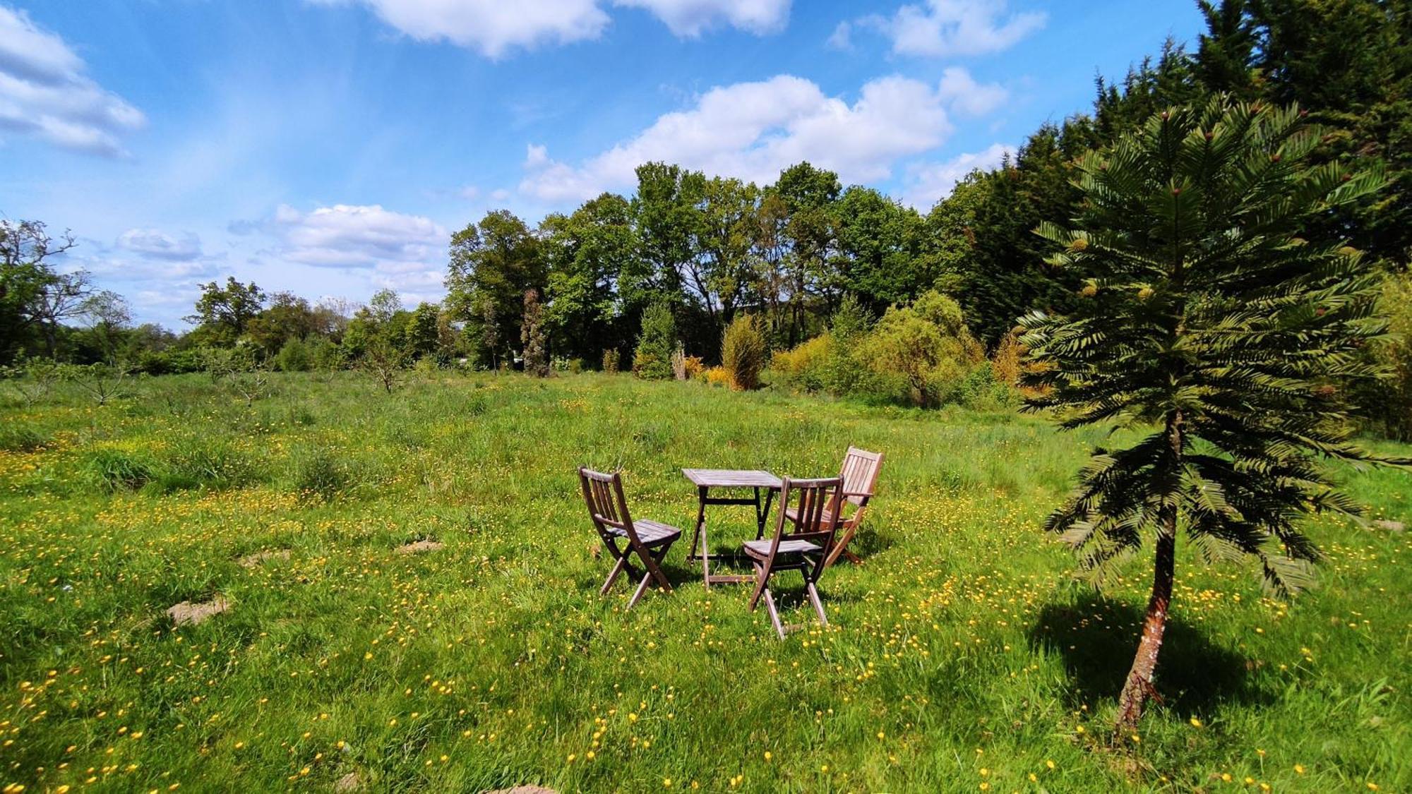 Chambre D'Hote En Gite - Moulin De La Houssaie - Broceliande Guer Buitenkant foto